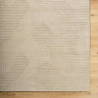 Brook BKO-2368 Sandstone Area Rug by LIVABLISS