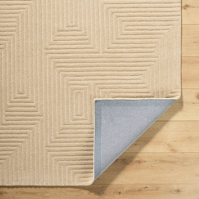 Brook BKO-2369 Taupe Area Rug by LIVABLISS