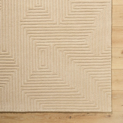 Brook BKO-2369 Taupe Area Rug by LIVABLISS