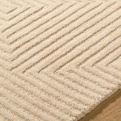 Brook BKO-2369 Taupe Area Rug by LIVABLISS
