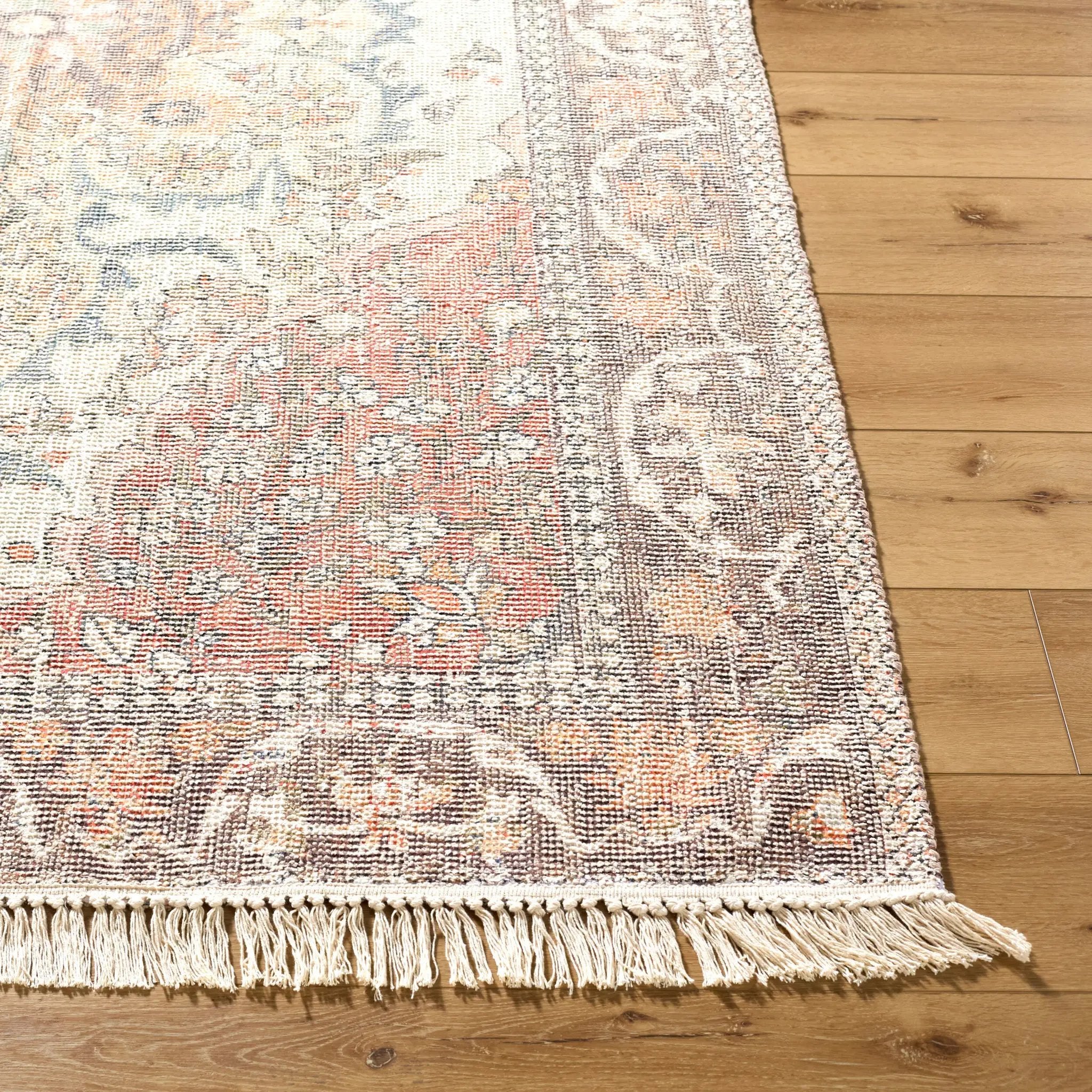 Belfast BLF-2303 Terracotta Area Rug by LIVABLISS