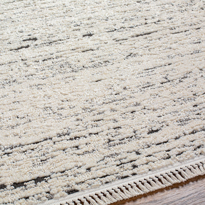 Surya Berlin BLR-2301 Ivory Area Rug by LIVABLISS