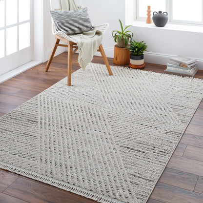 Surya Berlin BLR-2302 Sage Area Rug by LIVABLISS