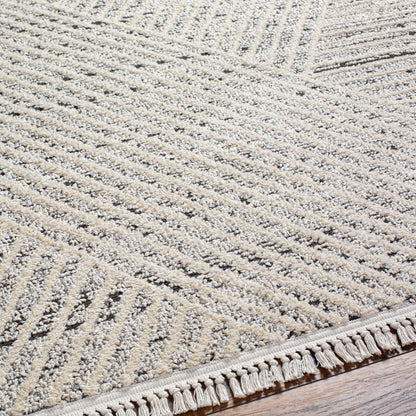 Surya Berlin BLR-2302 Sage Area Rug by LIVABLISS