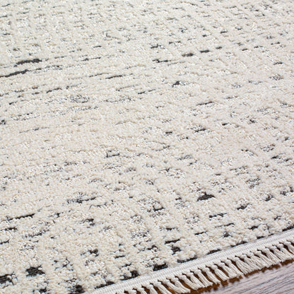 Surya Berlin BLR-2303 Ivory Area Rug by LIVABLISS
