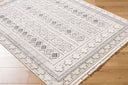 Surya Berlin BLR-2313 Ivory Area Rug by LIVABLISS