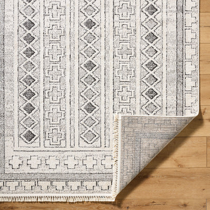 Surya Berlin BLR-2313 Ivory Area Rug by LIVABLISS