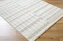 Surya Berlin BLR-2314 Ivory Area Rug by LIVABLISS