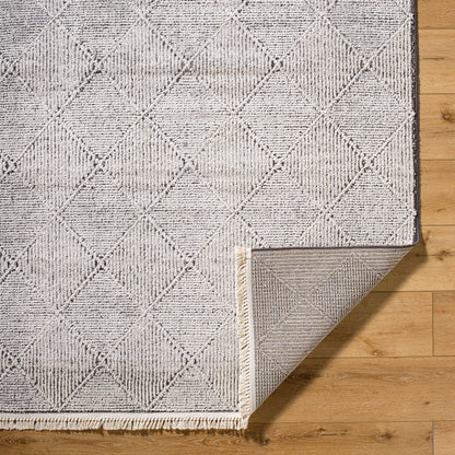 Surya Berlin BLR-2315 Ivory Area Rug by LIVABLISS