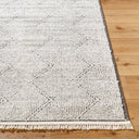 Surya Berlin BLR-2315 Ivory Area Rug by LIVABLISS