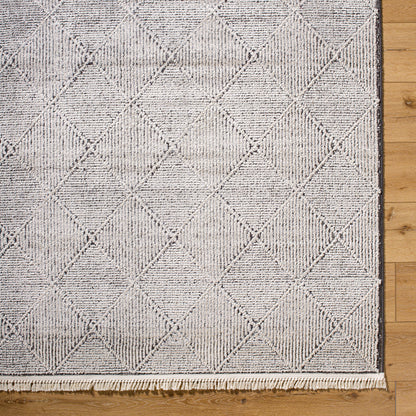 Surya Berlin BLR-2315 Ivory Area Rug by LIVABLISS