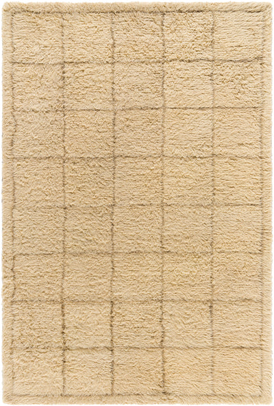 Surya Beni Moroccan BMC-2305 Beige Area Rug by LIVABLISS