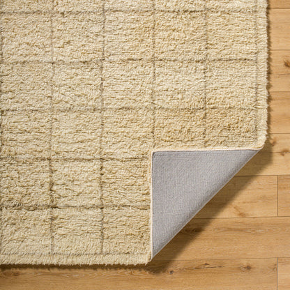 Surya Beni Moroccan BMC-2305 Beige Area Rug by LIVABLISS