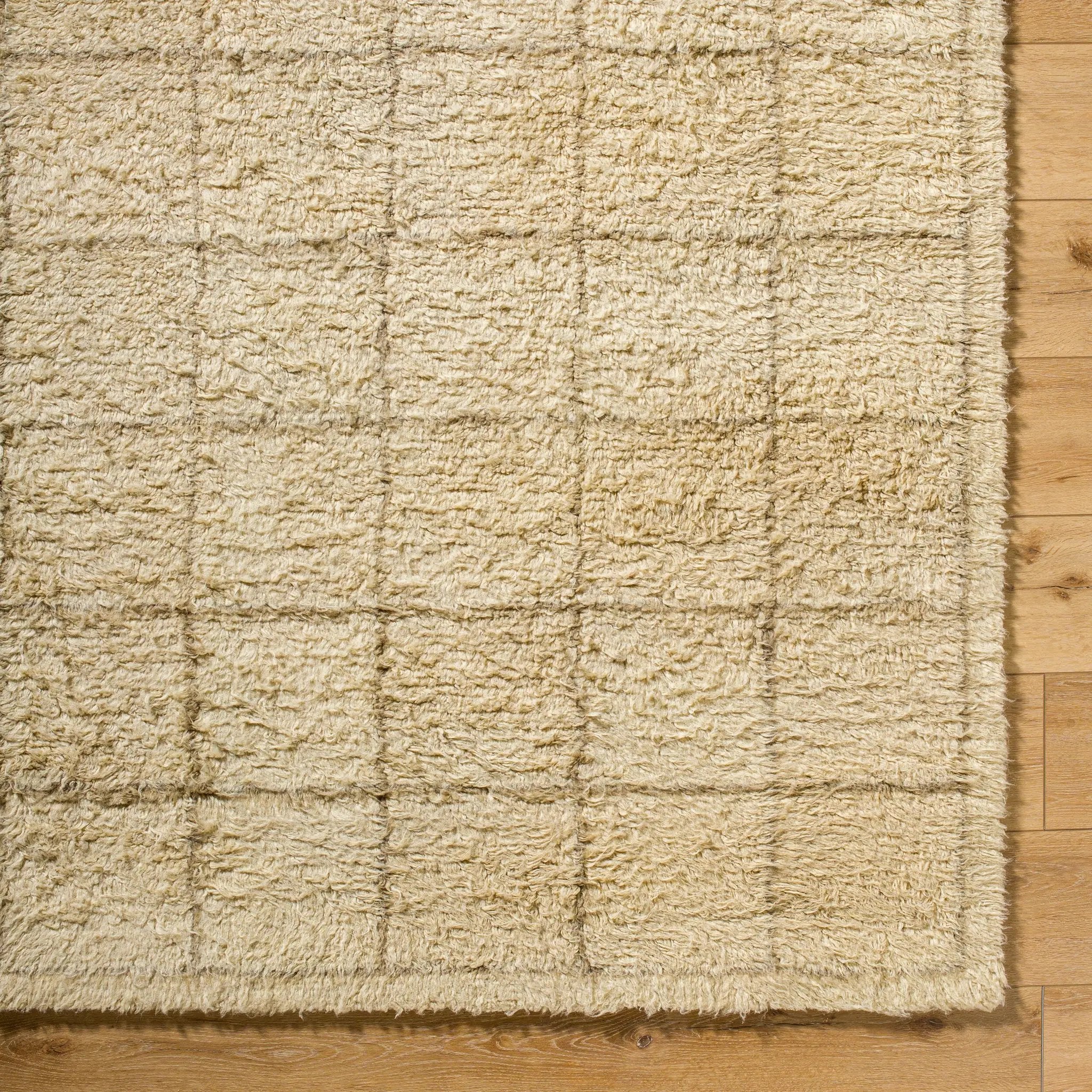 Beni Moroccan BMC-2305 Beige Area Rug by LIVABLISS