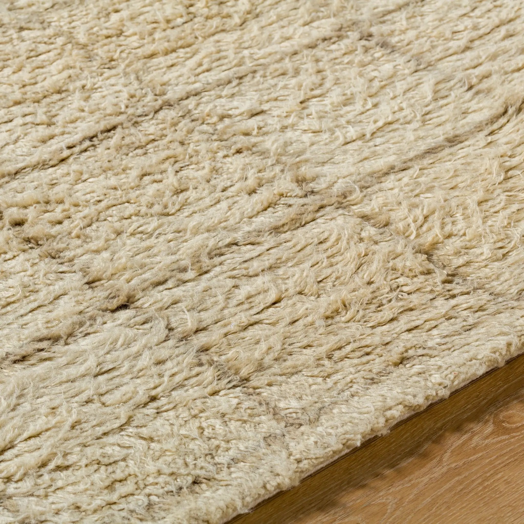 Beni Moroccan BMC-2305 Beige Area Rug by LIVABLISS