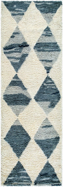 Surya Beni Moroccan BMC-2308 Ivory Area Rug by LIVABLISS