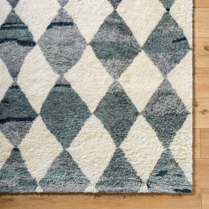 Surya Beni Moroccan BMC-2308 Ivory Area Rug by LIVABLISS