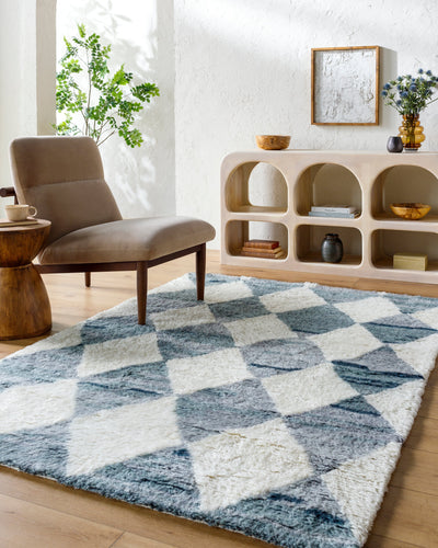 Surya Beni Moroccan BMC-2308 Ivory Area Rug by LIVABLISS