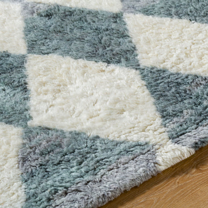 Surya Beni Moroccan BMC-2308 Ivory Area Rug by LIVABLISS