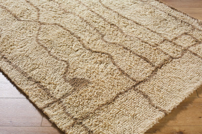 Surya Beni Moroccan BMC-2309 Beige Area Rug by LIVABLISS