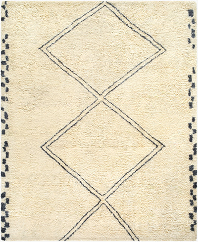Surya Beni Moroccan BMC-2311 Ivory Area Rug by LIVABLISS