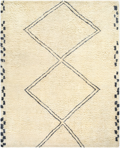 Surya Beni Moroccan BMC-2311 Ivory Area Rug by LIVABLISS