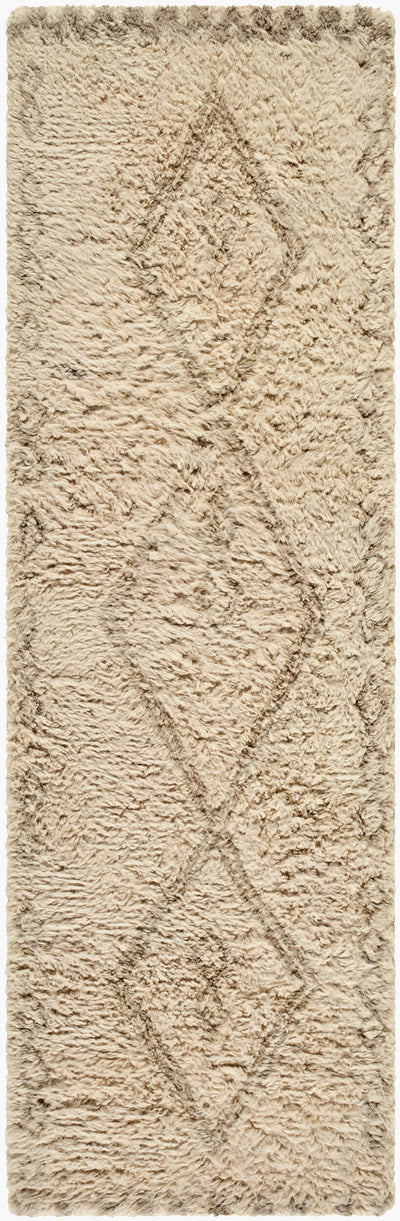Surya Beni Moroccan BMC-2312 Beige Area Rug by LIVABLISS