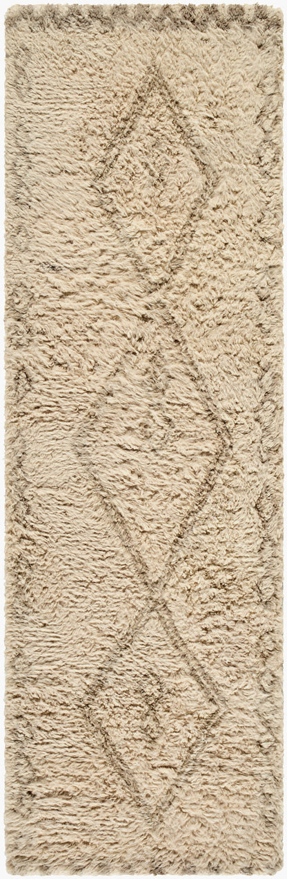 Surya Beni Moroccan BMC-2312 Beige Area Rug by LIVABLISS