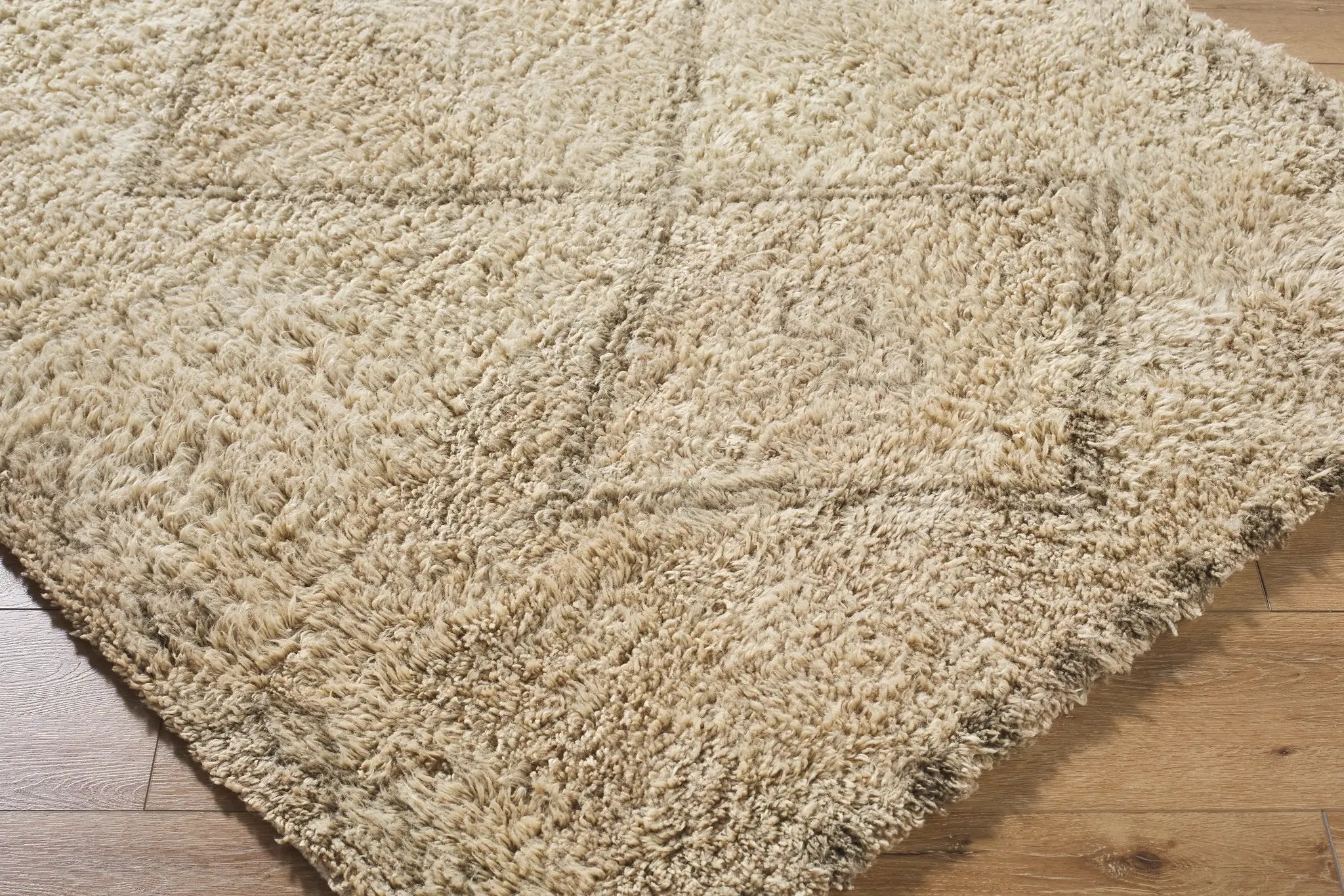 Beni Moroccan BMC-2312 Beige Area Rug by LIVABLISS