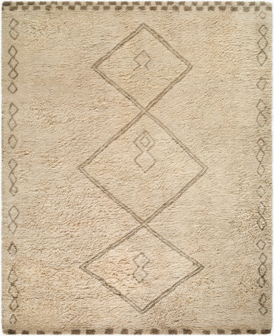 Surya Beni Moroccan BMC-2312 Beige Area Rug by LIVABLISS