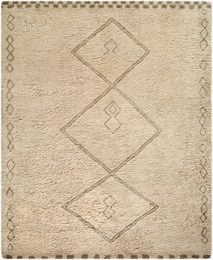 Surya Beni Moroccan BMC-2312 Beige Area Rug by LIVABLISS