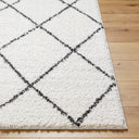 Surya Birmingham BMM-2318 Ivory Area Rug by LIVABLISS