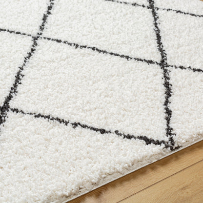 Surya Birmingham BMM-2318 Ivory Area Rug by LIVABLISS