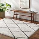 Surya Birmingham BMM-2318 Ivory Area Rug by LIVABLISS