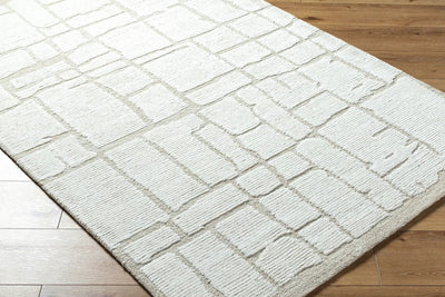 LIVABLISS Bianca BNC-2300 Gray Area Rug