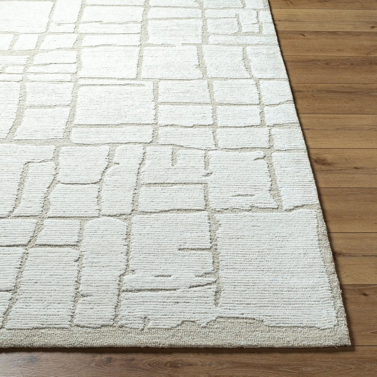 LIVABLISS Bianca BNC-2300 Gray Area Rug