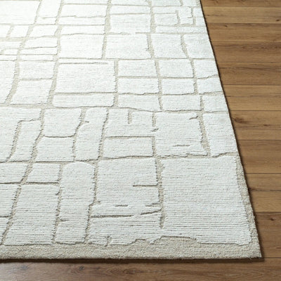 LIVABLISS Bianca BNC-2300 Gray Area Rug