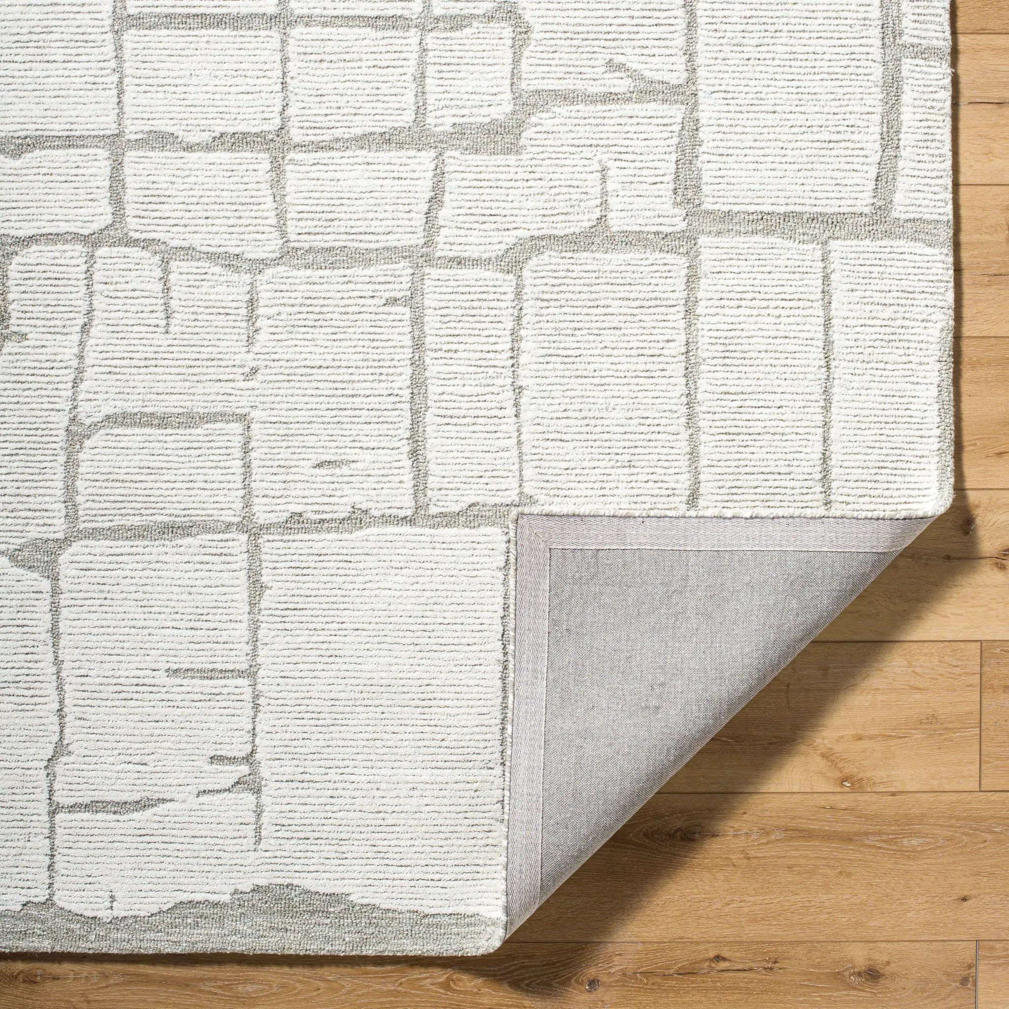 Bianca BNC-2301 Ivory Area Rug by LIVABLISS