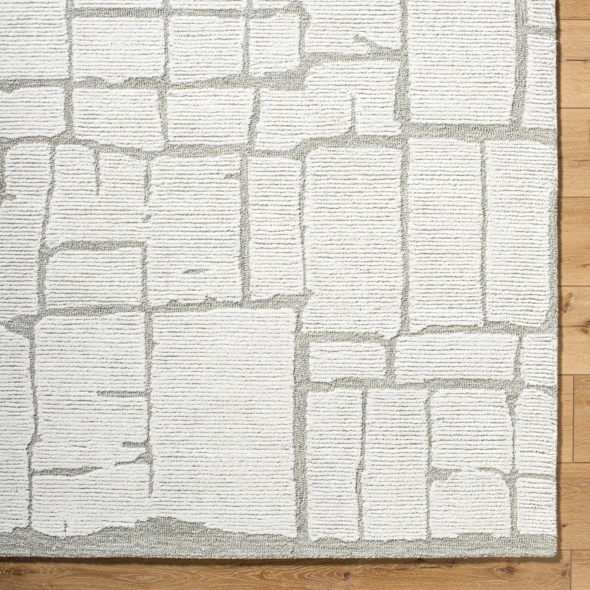 Bianca BNC-2301 Ivory Area Rug by LIVABLISS