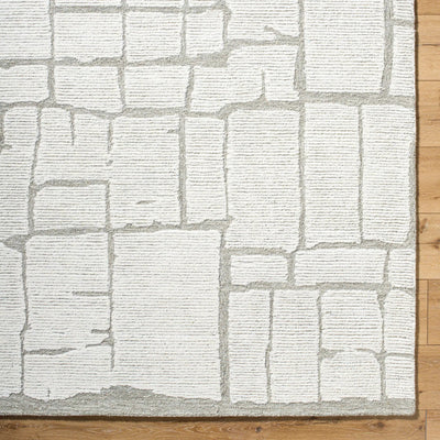 Bianca BNC-2301 Ivory Area Rug by LIVABLISS