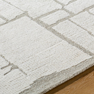 Bianca BNC-2301 Ivory Area Rug by LIVABLISS