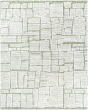 LIVABLISS Bianca BNC-2302 Sage Area Rug