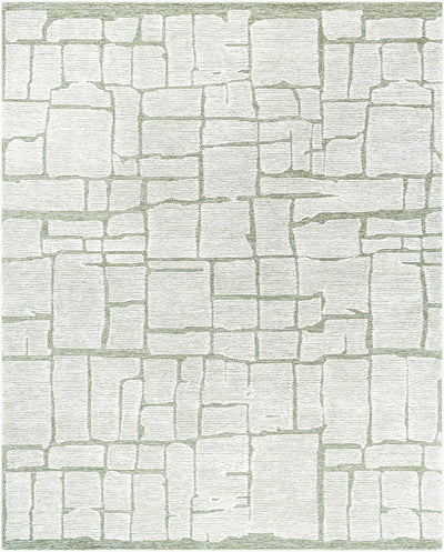 Bianca BNC-2302 Sage Area Rug by LIVABLISS