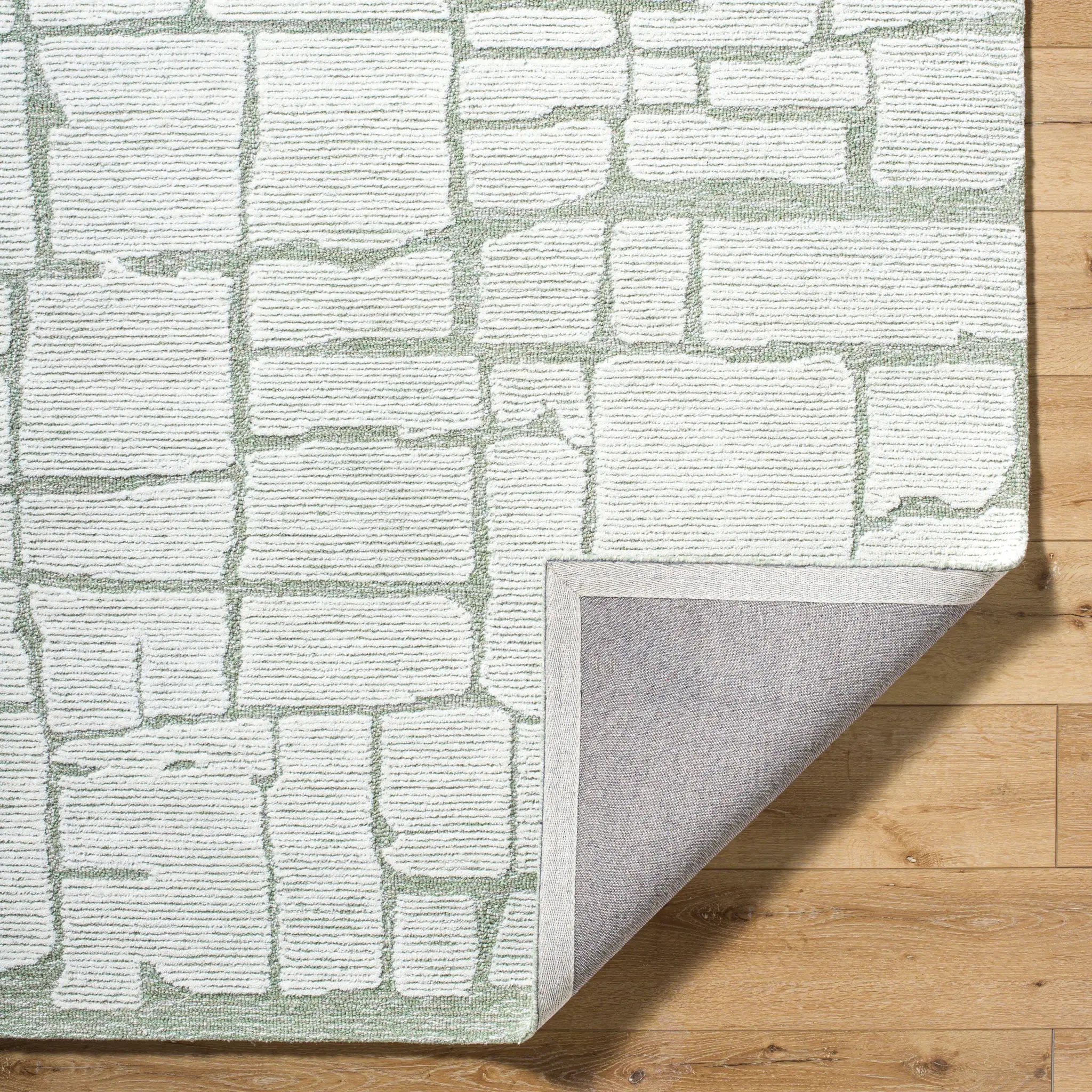 Bianca BNC-2302 Sage Area Rug by LIVABLISS