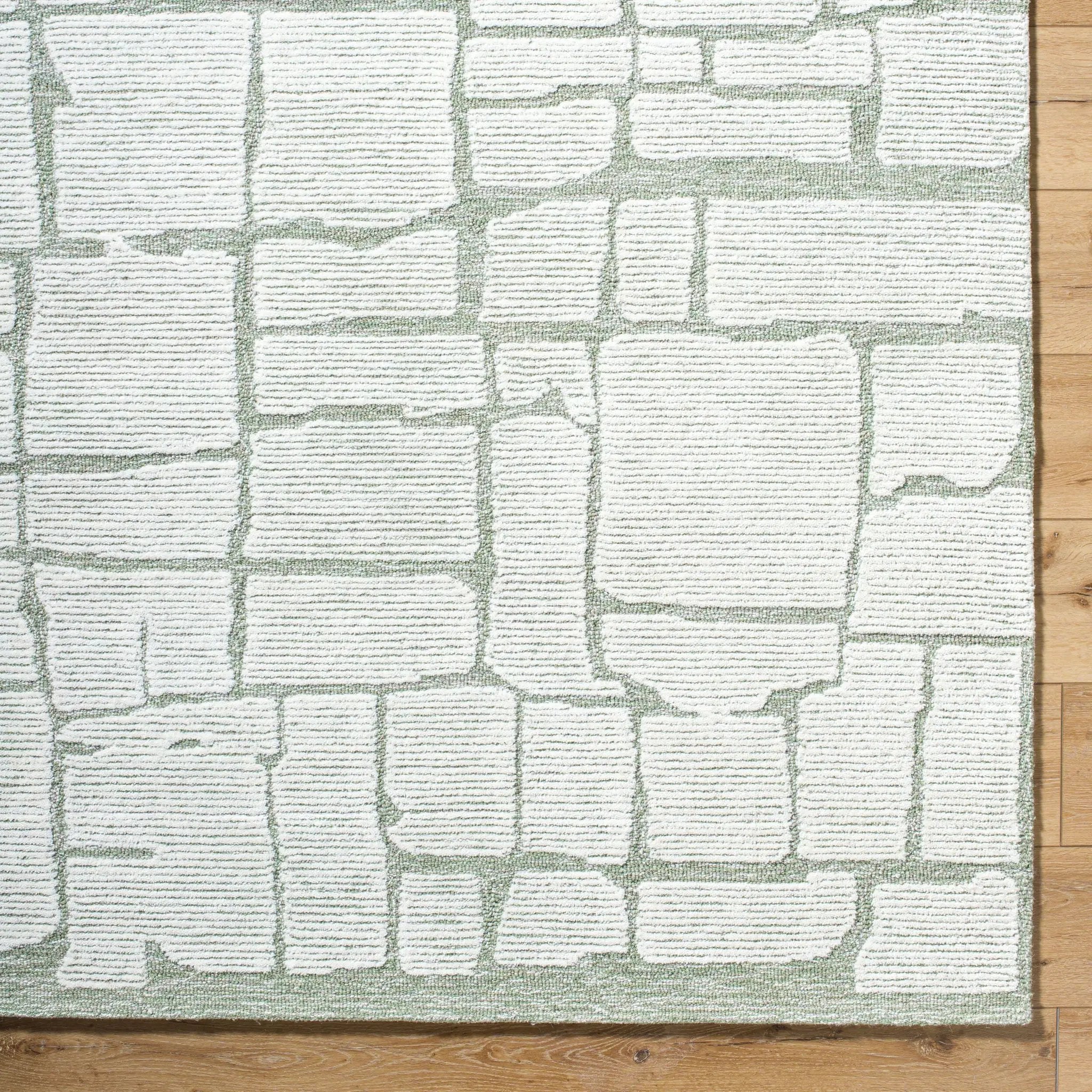 Bianca BNC-2302 Sage Area Rug by LIVABLISS