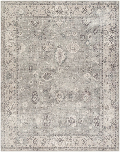 Davina BOCC-2301 Medium Gray Area Rug by Becki Owens x LIVABLISS