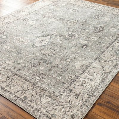 Davina BOCC-2301 Medium Gray Area Rug by Becki Owens x LIVABLISS