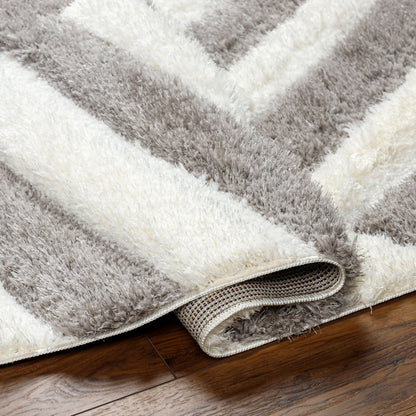 Surya Bologna BOG-2303 Gray Area Rug by LIVABLISS