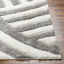 Surya Bologna BOG-2303 Gray Area Rug by LIVABLISS