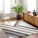 Surya Bologna BOG-2310 Off-White Area Rug by LIVABLISS